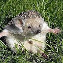  / /,  -  22  2014    ר , ? .... .