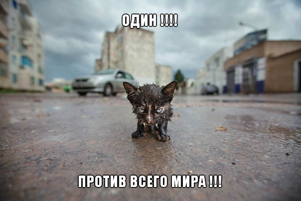 ##  ## - 30  2014  05:46