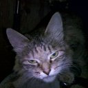  , -, 45  -  25  2014