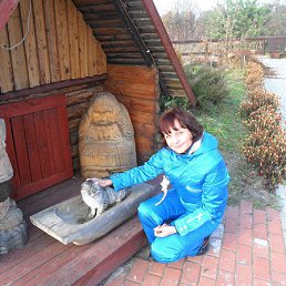 ������, ������, 51 ���