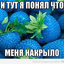 ���� ����������, �����������, 34 ���� - ��������� 19 ����� 2014 � ������ ������ ��������