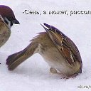  , , 46  -  19  2014   ))))