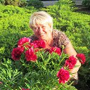 ���� �������, �������� - ��������� 11 ���� 2014 � ������ ������� 2014�