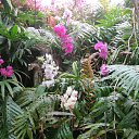 ���� ������, �����-���������, 78 ��� - ��������� 8 ���� 2014 � ������ ���� ����������