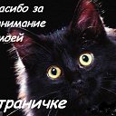 � �������� �������� � �������� vk.com/fotomimi 