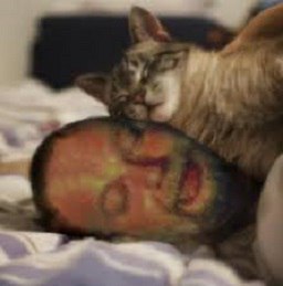 Bratok, 36 , 