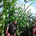 ���������� �� ������� ���� ����������