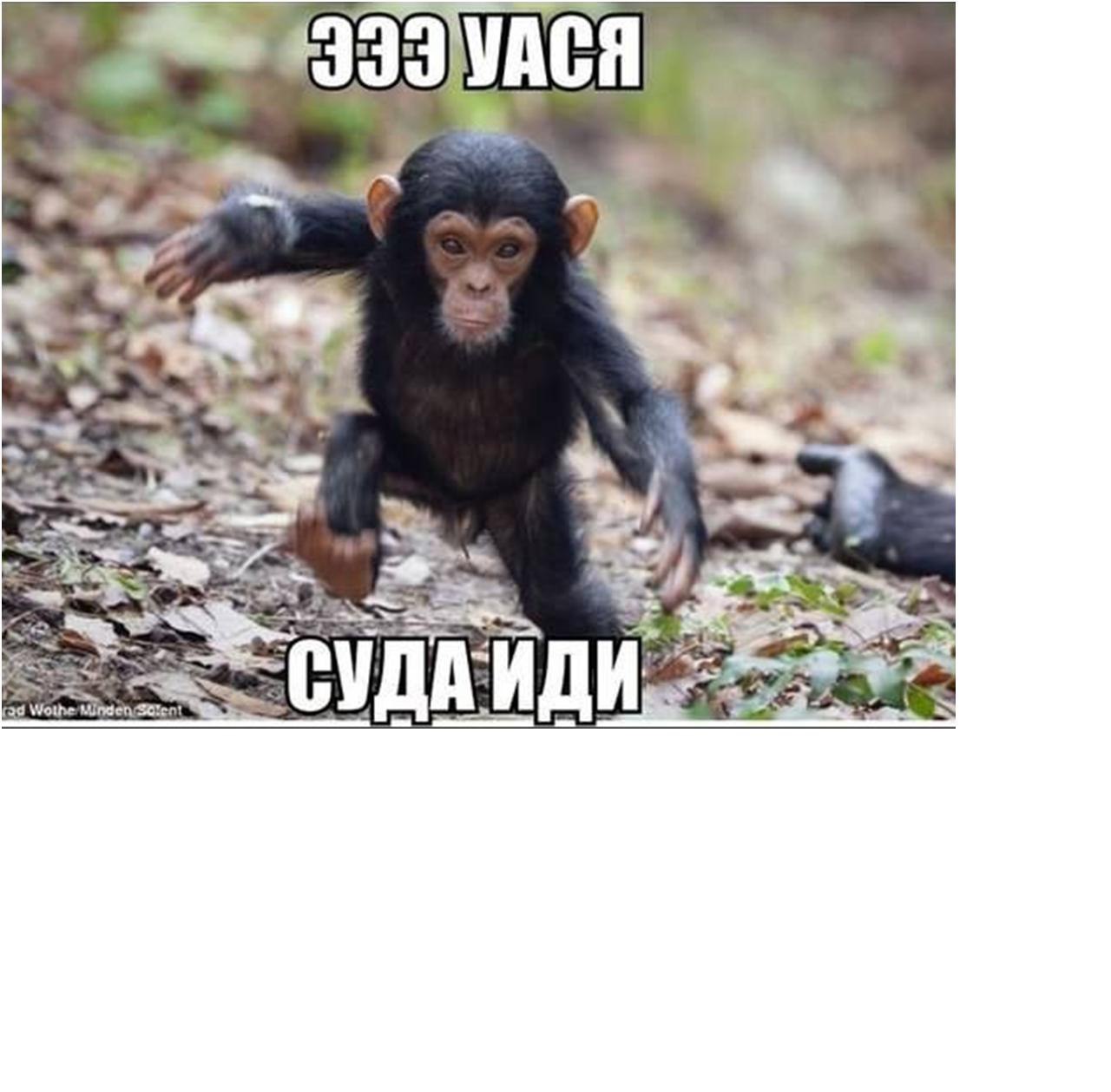  - 3  2014  10:09