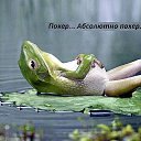 ���� ��-��, ������ - ��������� 8 ���� 2014 � ������ ������ ��������