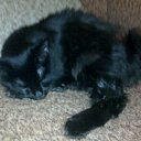 ���� ������, ������-��-����, 47 ��� - ��������� 13 ���� 2014 � ������ ���� ����������