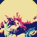 ���� �����, �����������, 38 ��� - ��������� 16 ������� 2014 � ������ �����������