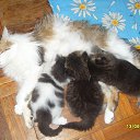 ���� �����, ���������, 58 ��� - ��������� 24 ��� 2014 � ������ ������� �