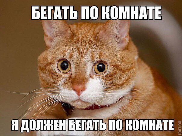  - 5  2014  14:01