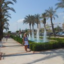  ,  , 55  -  29  2014     2014