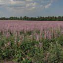 �������� ���� ������ �� ������� �����