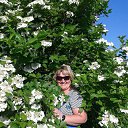 ���� �������, �����������-��-�����, 75 ��� - ��������� 11 ���� 2014