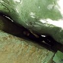 ���� Vikecha, ������ - ��������� 11 ���� 2014 � ������ ����������� ��������.����������� �����.���� ���������