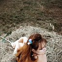 ���� Dezdemona, ���������, 57 ��� - ��������� 8 ���� 2014 � ������ ���� ����������