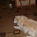 ��� ��������. �� ������� ���� ����������