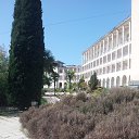  ,  -  21  2014    ))))))))))