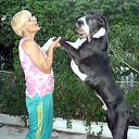 ���� �����, �����, 69 ��� - ��������� 14 ���� 2014 � ������ ���� ����������