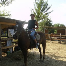 ����, ������, 52 ����