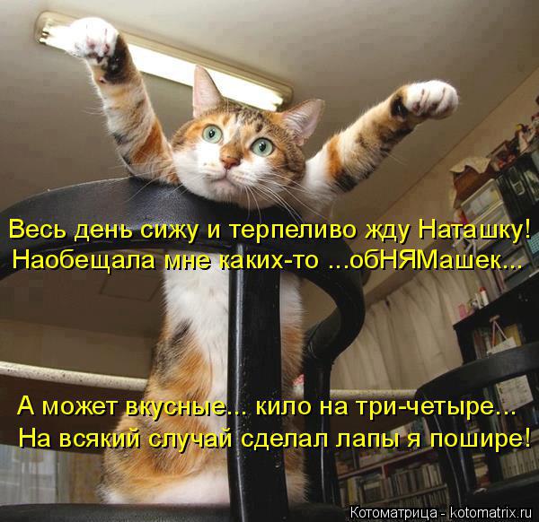 Alex Linadherent - 17  2014  09:11