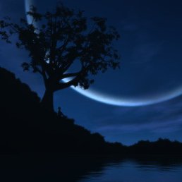 ���� �����, �����, 46 ��� - ��������� 22 ����� 2014