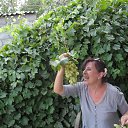 ���� ����, ��������, 65 ��� - ��������� 25 ���� 2014