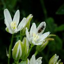 1.06.2014 �� ������� �����ܻ