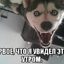���� ���, ���������, 23 ���� - ��������� 11 ������� 2014 � ������ ���� ����������