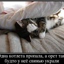 ���� �������, ������, 44 ���� - ��������� 23 ����� 2014 � ������ ���� ����� � �������������� ������-������
