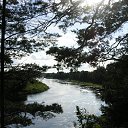    ,    
  
   , 
    .

      
     
     
  ,  .
    .  .