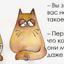 ���� ���������, �����, 53 ���� - ��������� 18 ����� 2014 � ������ ������ ��������