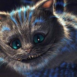 ���� Goku, ������, 31 ��� - ��������� 28 ����� 2014