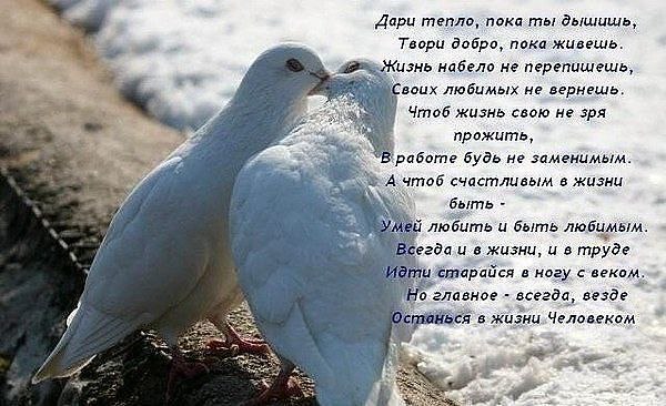 Надежда - 26 марта 2014 в 17:44