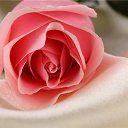 ���� �����, �������, 62 ���� - ��������� 1 ������� 2014 � ������ �������� ��������