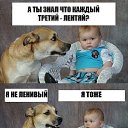 ���� �������, ������, 48 ��� - ��������� 21 ��� 2014 � ������ ������ ��������