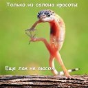 ���� ����, ��������, 45 ��� - ��������� 19 ���� 2014 � ������ ������ ��������