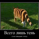 ���� ������., ������ - ��������� 27 ���� 2014 � ������ ������ ��������