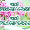 ���� �������, ������, 54 ���� - ��������� 2 ��� 2014 � ������ ������ ��������