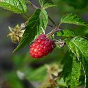 ���� ����������, ������� ��������, 63 ���� - ��������� 16 ���� 2014 � ������ ����� ����