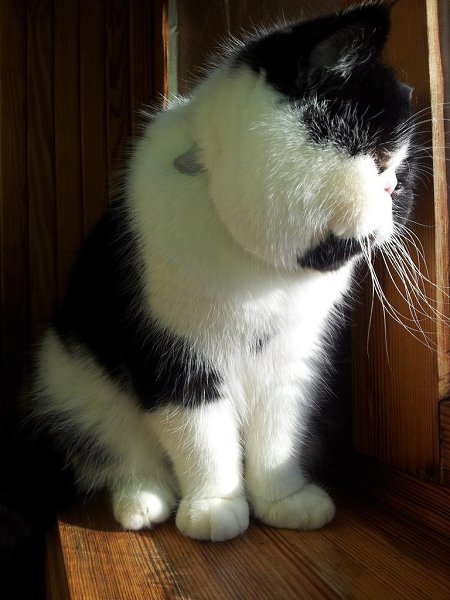   :3