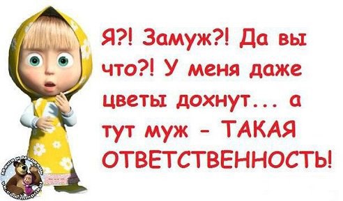  - 9  2014  03:51