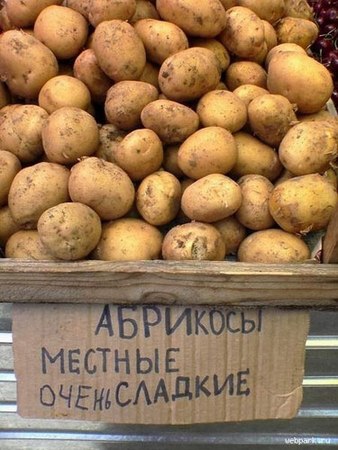    !!!!))))))