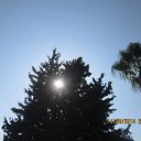  ,  -  19  2014    ߻