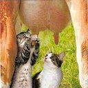 ���� ���-��-���, �����-���������, 59 ��� - ��������� 27 ������ 2014 � ������ ������ ��������