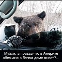 ���� ����, ������ - ��������� 9 ��� 2014 � ������ ������ ��������