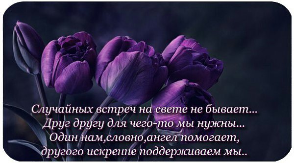 Случайны ли. Случайныхвстречл на свете не бывает. Случайных встреч на свете. Случайных встреч на свете не бывает друг. Открытки случайных встреч на свете не бывает.