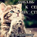 ���� ���������, ���������, 49 ��� - ��������� 29 ��� 2014 � ������ ������ ��������